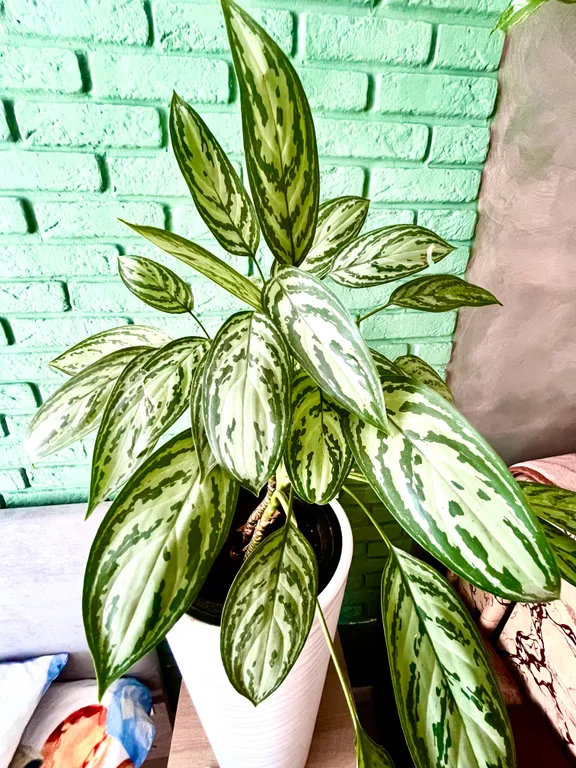 Новая студия на берегу реки