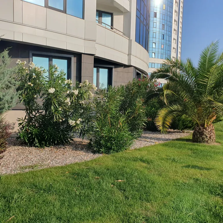 Новая дизайн студия в морской симфонии