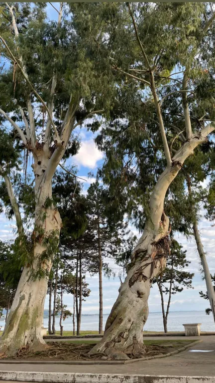 Маяк и море через дорогу