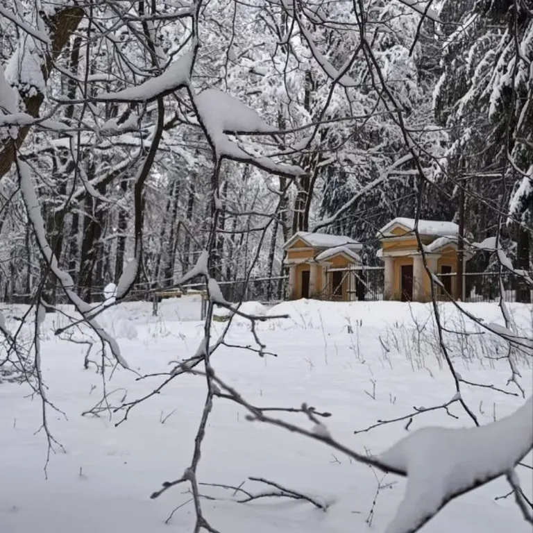 Студия с видом на Шуваловский парк