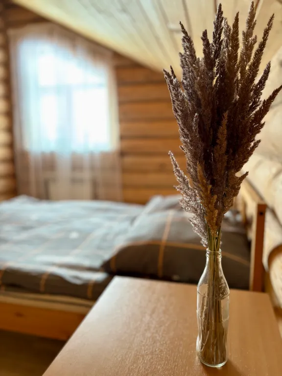 Уютный двухэтажный загородный дом с видом на Свиягу