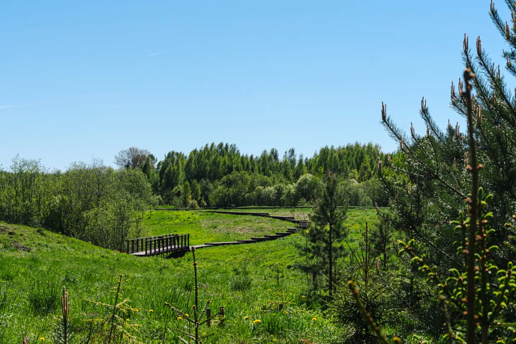 Коттедж 3-комнатный Дом — Тосно