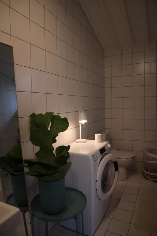 Дом в легендарном поселке Болотов Дача