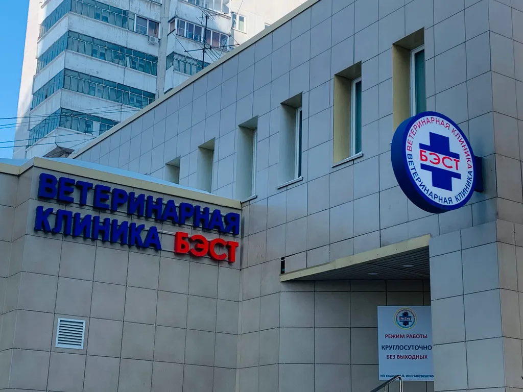 Квартира Уютная 1-комнатная квартира — Новосибирск