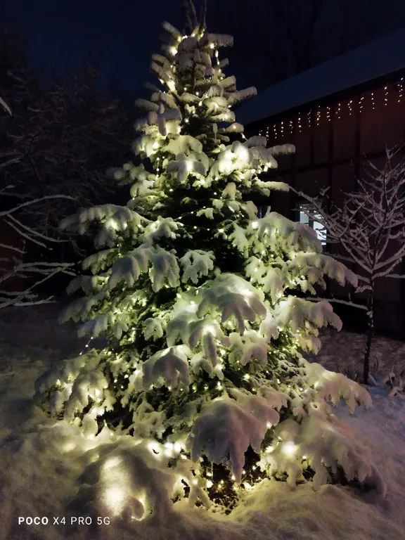 Романтик у реки