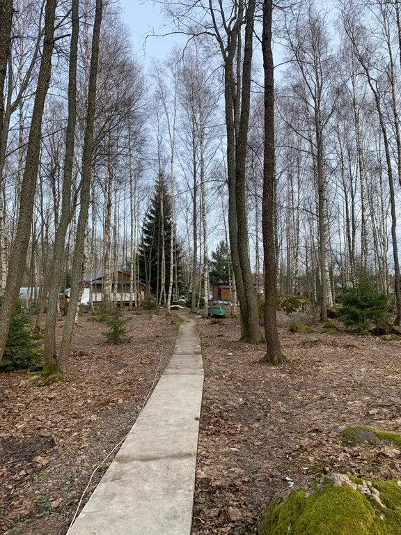 Дом с горячей купелью рядом с Выборгом