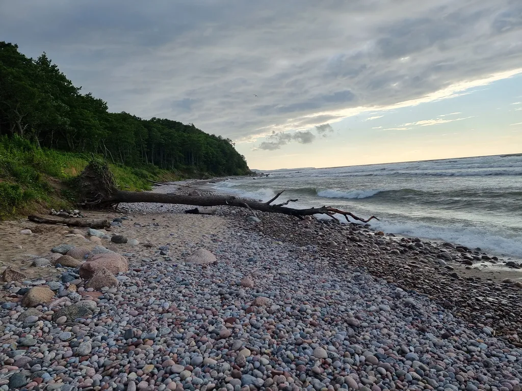 Квартира Уютная квартира с видом на море — Пионерский