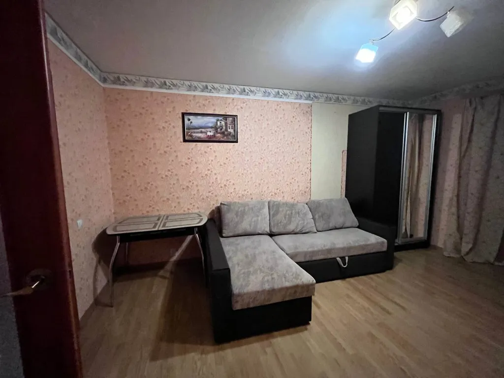 Просторная квартира недалеко от центра и пригородов