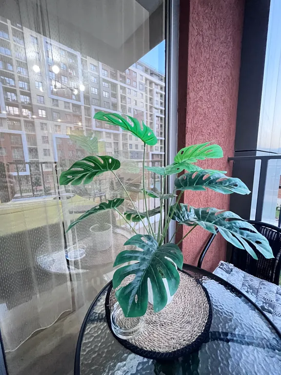 Дизайнерская студия у моря