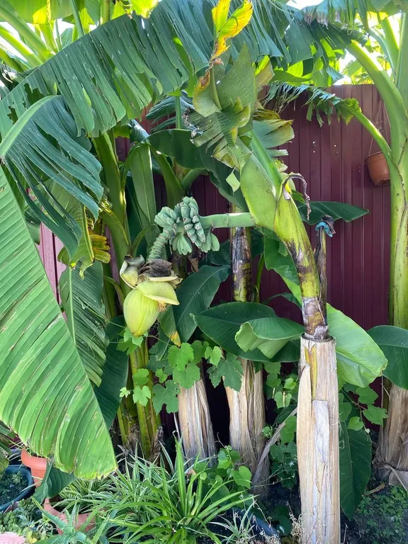 Коттедж Дом под ключ — Сириус