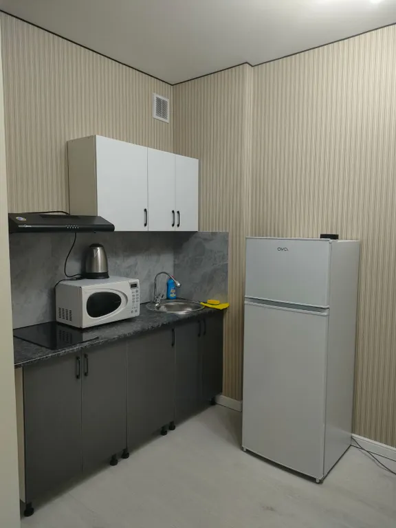 Квартира Евродвушка с хорошим видом на горы, парк в старом центре города — Алматы