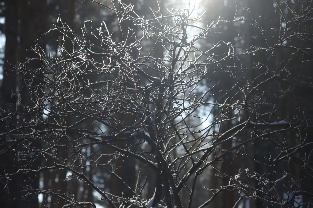 Дом 6 в лесу у реки