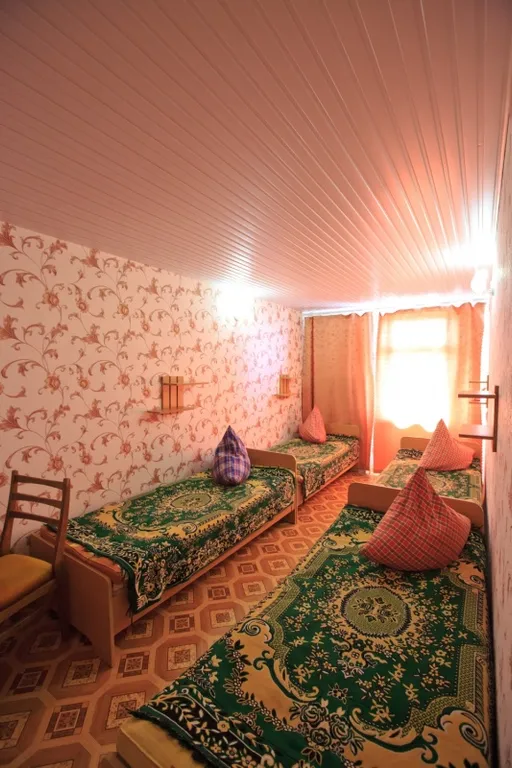 Квартира Апартаменты для семьи из 5 человек, кухня, санузел внутри, кондиционер — аренда посуточно в Орджоникидзе