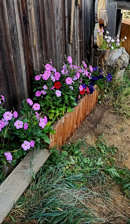 Комната в бюджетном домике