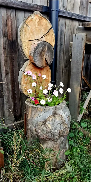 Двухместная бюджетная комната в домике