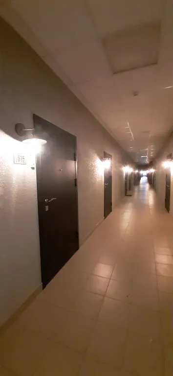 Уютная студия с видом на лес