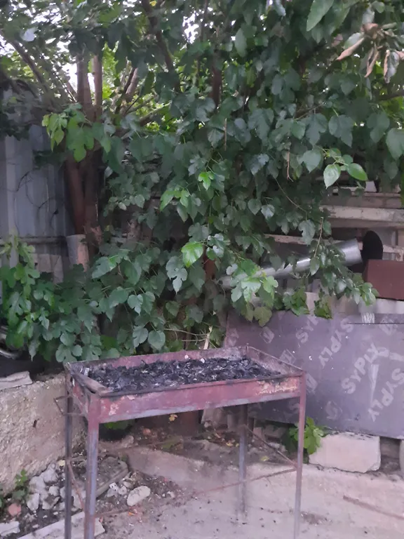 Коттедж 1-комнатный Дом — Кисловодск