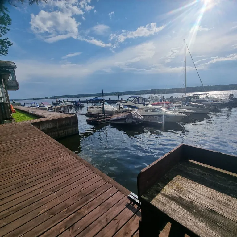 Заповедное место с видом на лес в 100 метрах от яхт-клуба и берега Волги