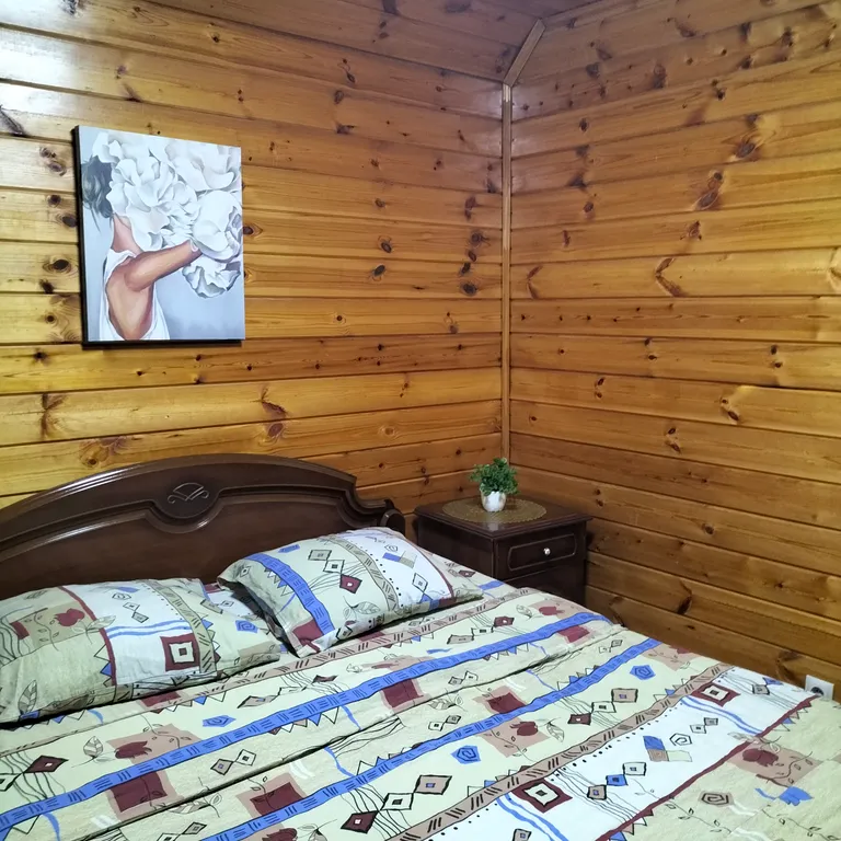 Дом - коттедж У Федота в черте города