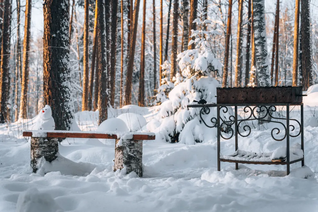 Уютные апартаменты с видом на лес