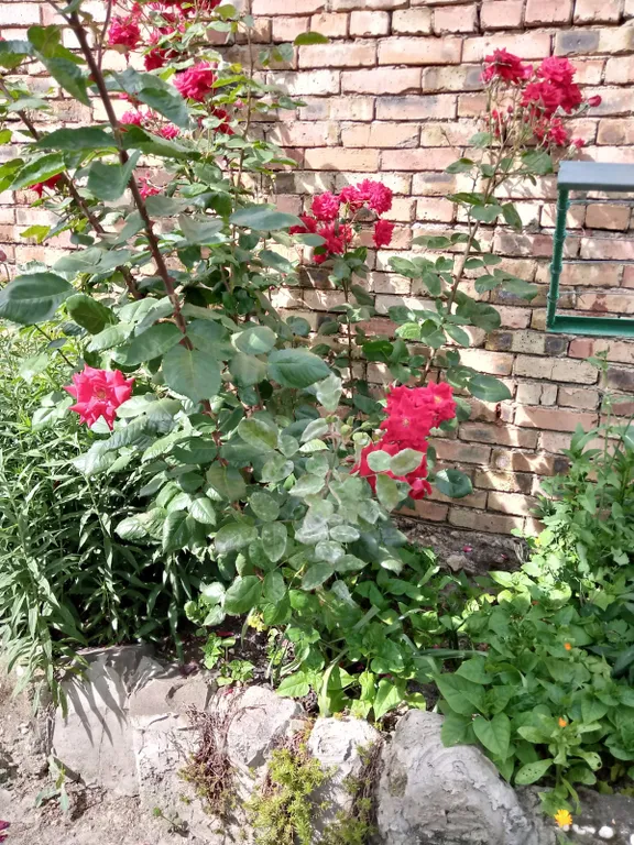 Рады гостям