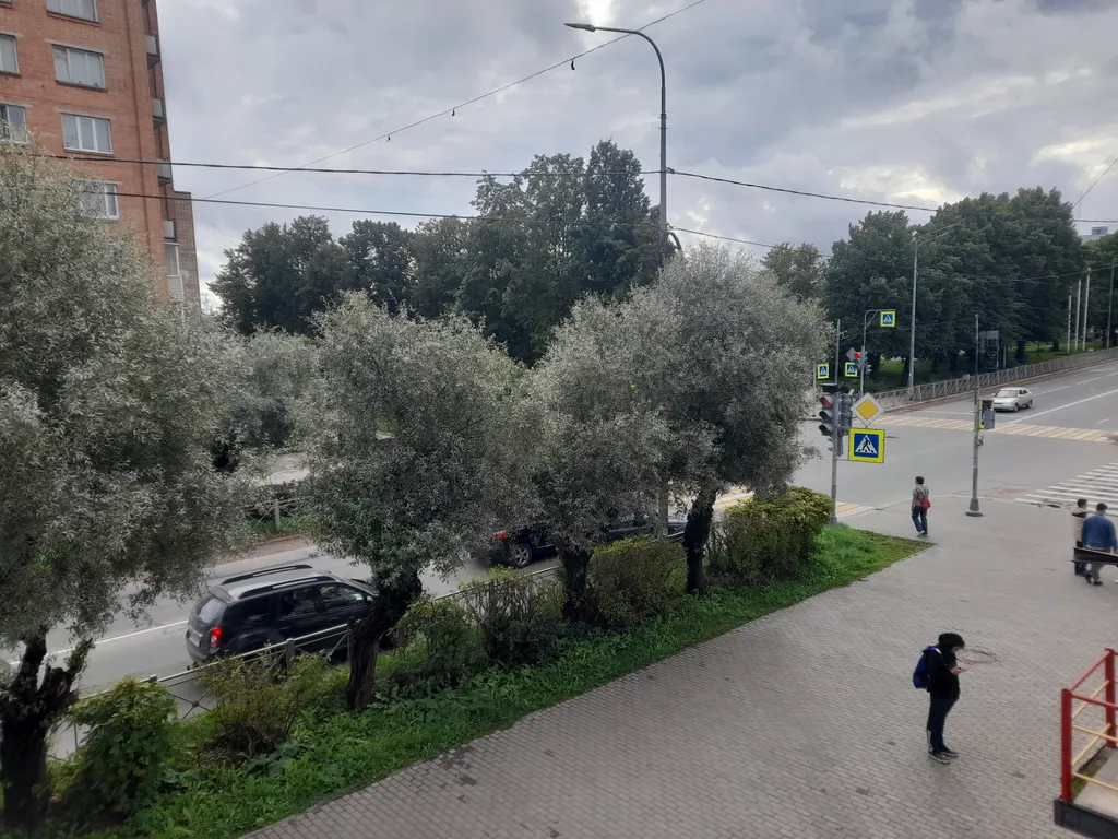 Квартира в центре у сквера