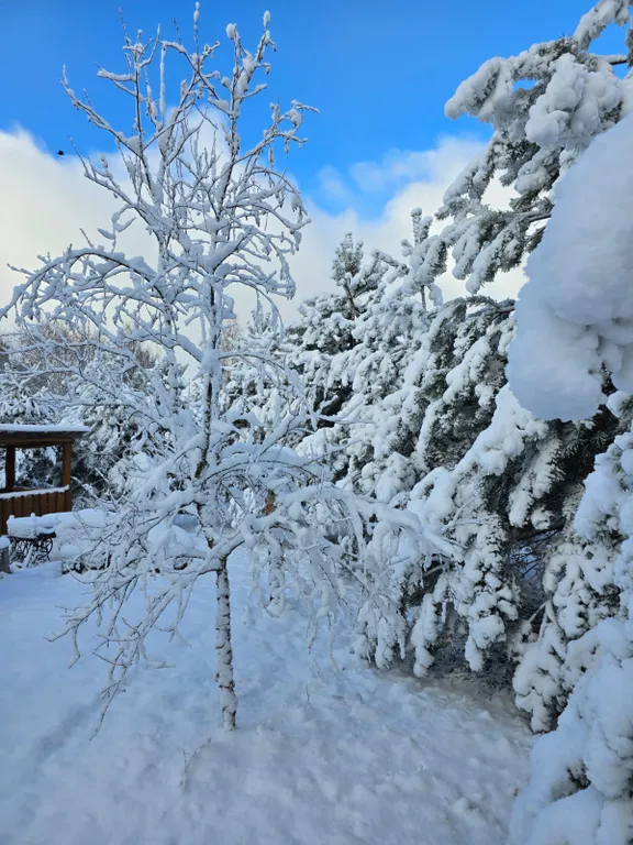 Комфортабельный 3-коттедж на 1 линии о.Селигер