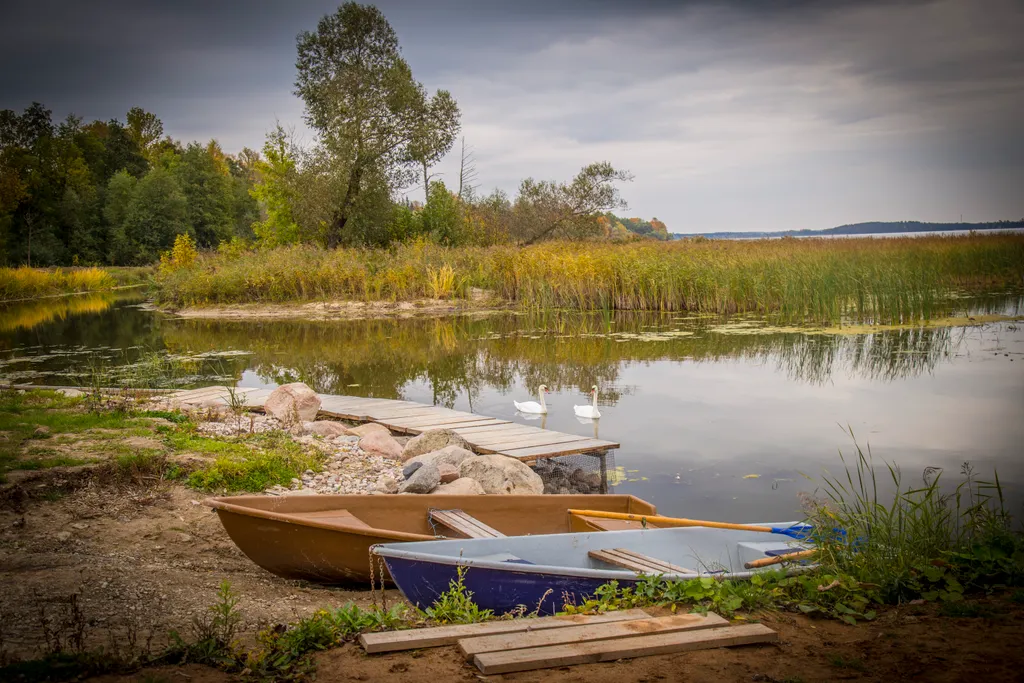 Квартира 1-комнатная Квартира — Луга