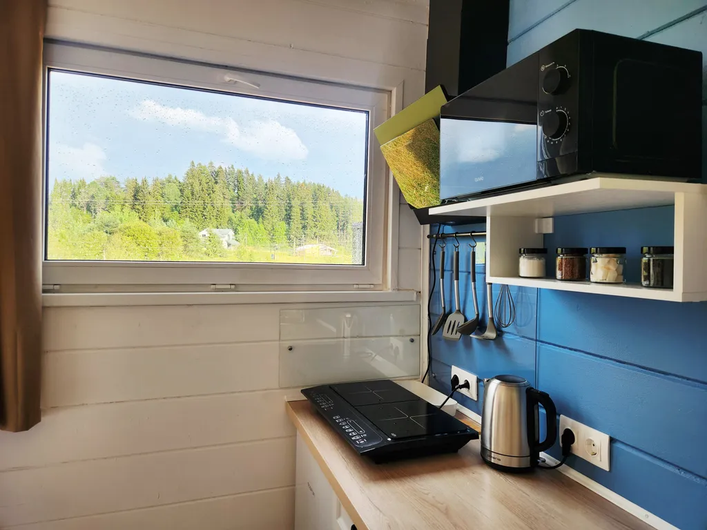 Дом с березками