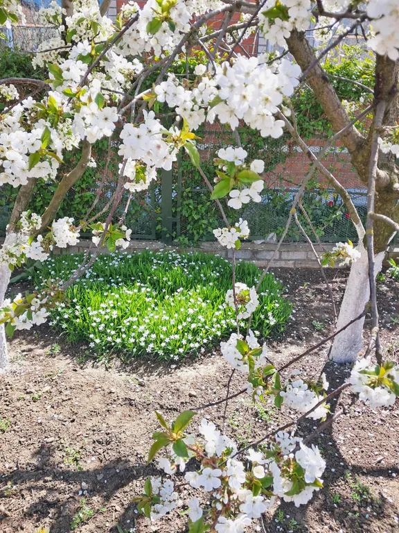 Квартира Уютная комната для спокойного отдыха — Ейск