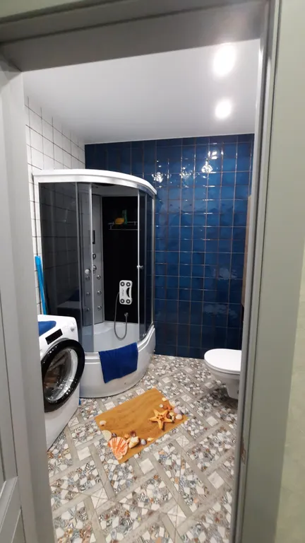 Янтарная чайка