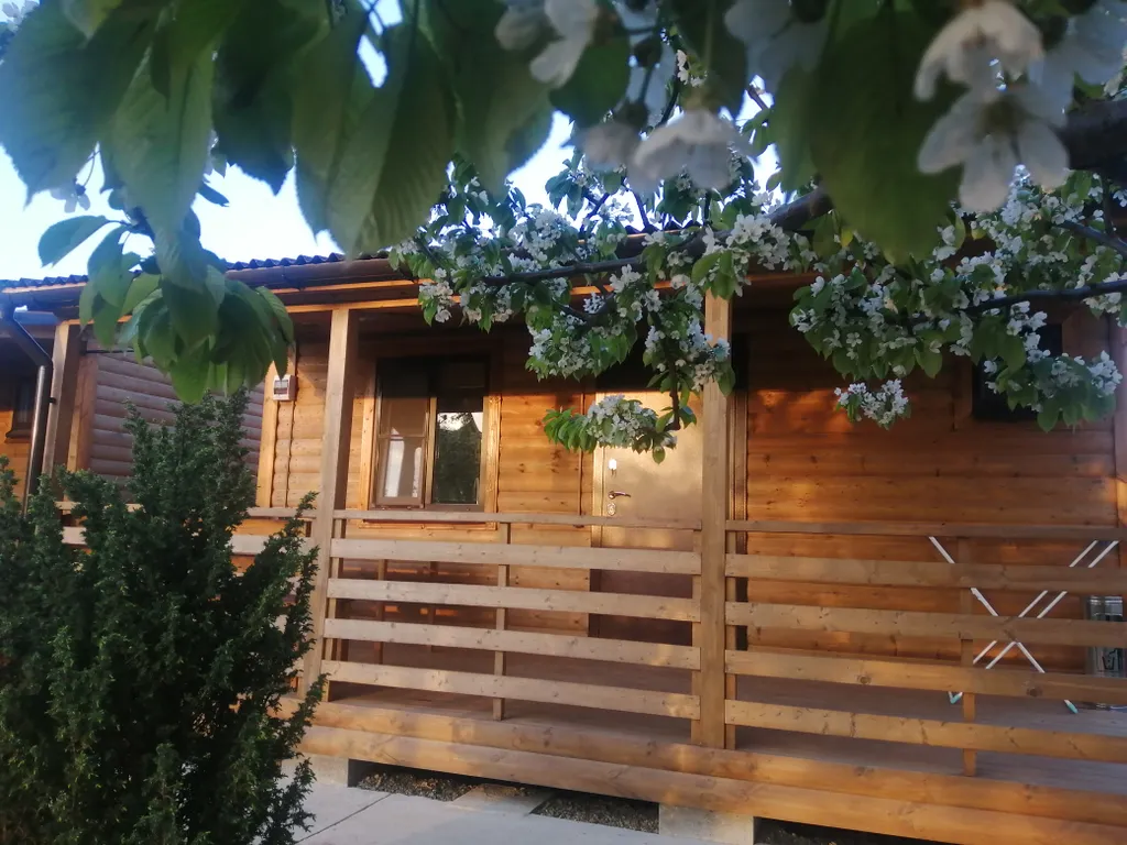 Коттедж 2-комнатный Дом — аренда посуточно в Благовещенская