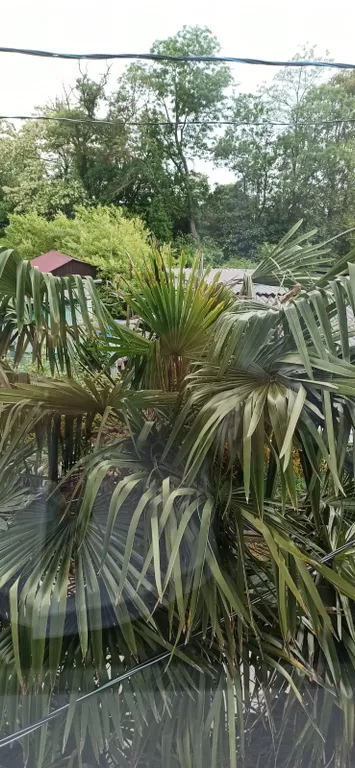 Квартира около моря