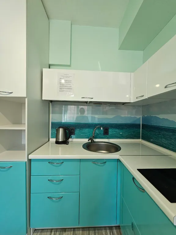 Студия возле аэропорта