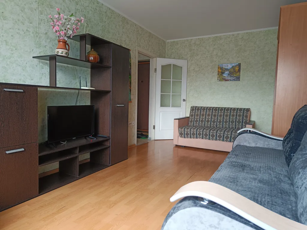 Уютная однокомнатная квартира