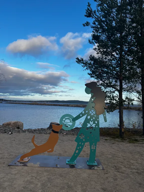 Видовые апартаменты Onego lakе