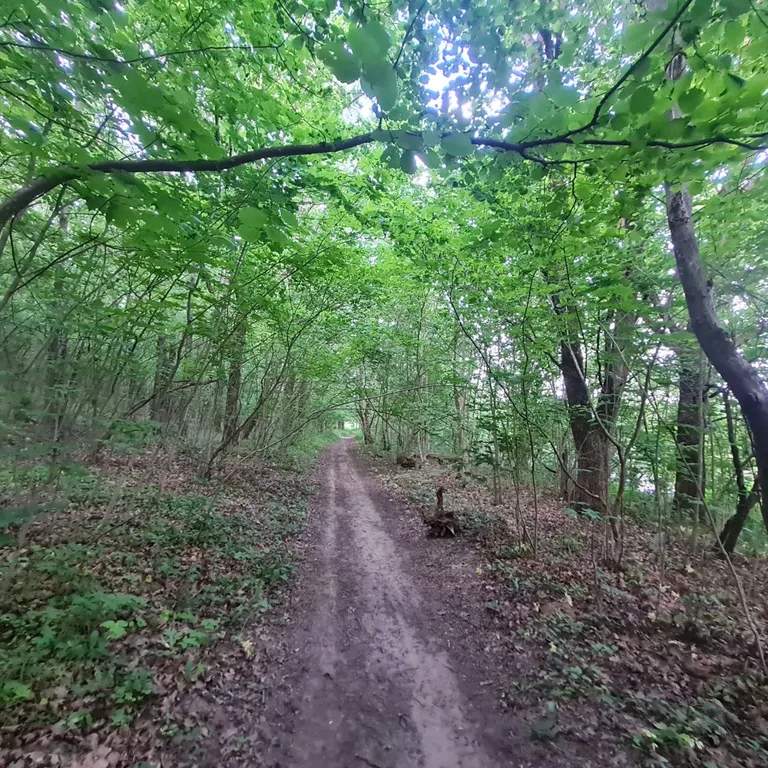 Дом в стиле A-fram