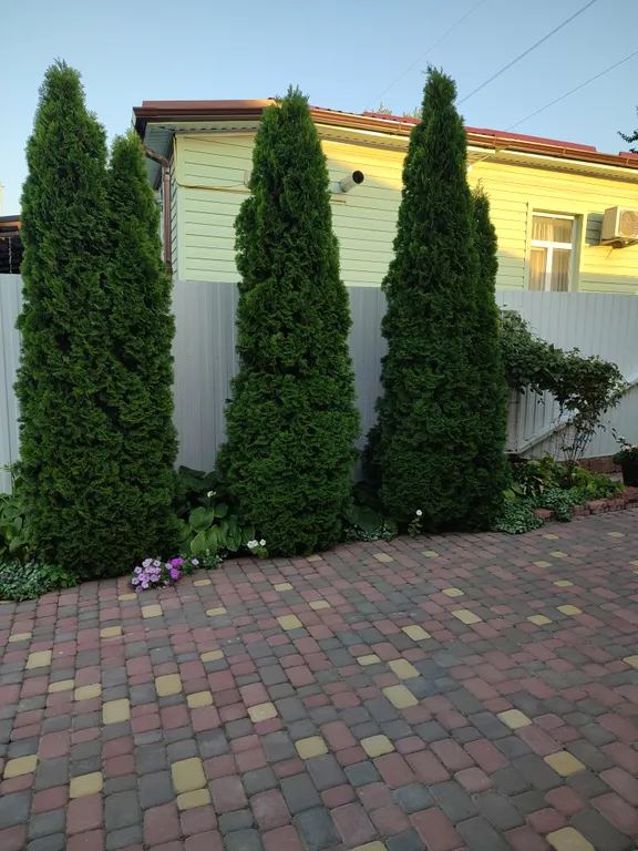 Уютный таунхаус в очень уютном дворике