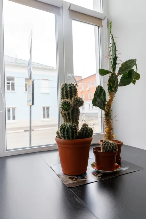 Апартаменты у Коломенского Кремля