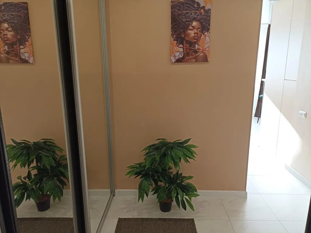 Видовая студия в центре города сети Все в гости