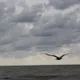 Наталья