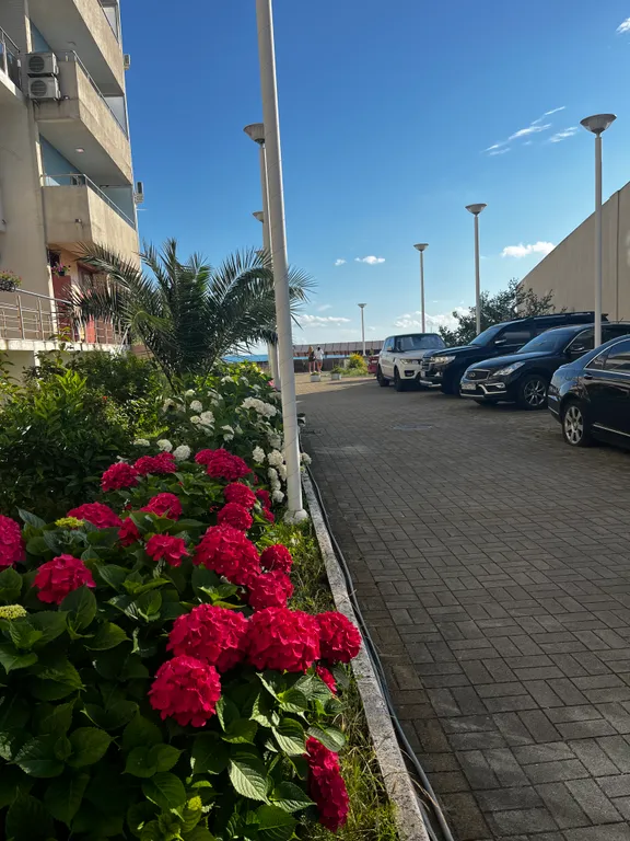 Квартира Уютная квартира с большой террасой — Лазаревское