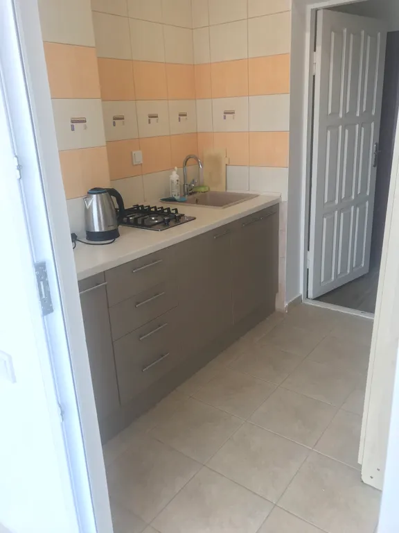 Уютные апартаменты в центре поселка