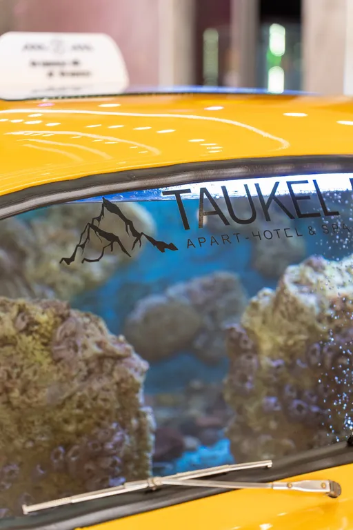 Аппартаменты в отеле Таукел