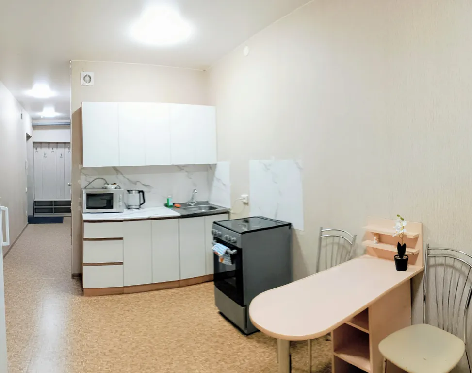 Квартира Квартира Уютная студия в 20 минутах от аэропорта и центра — Красноярск