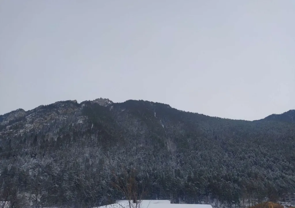 Уютная квартира на Поляне