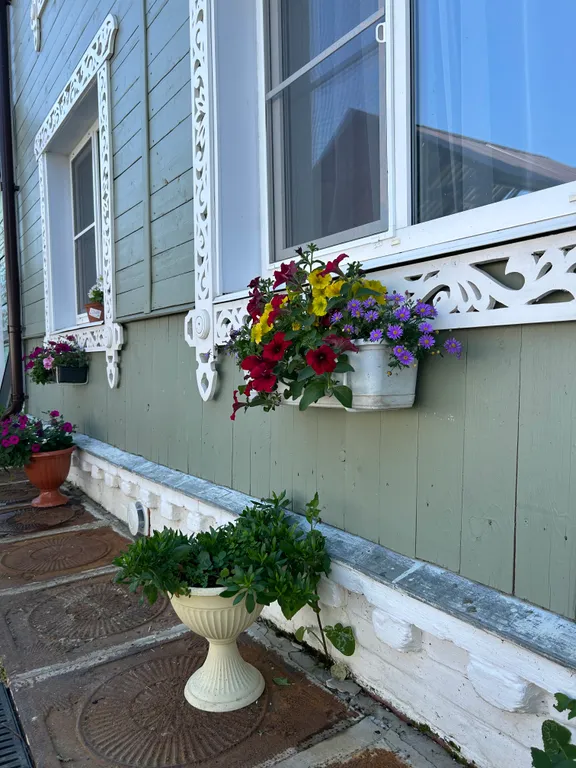 Зелёный дом-дача