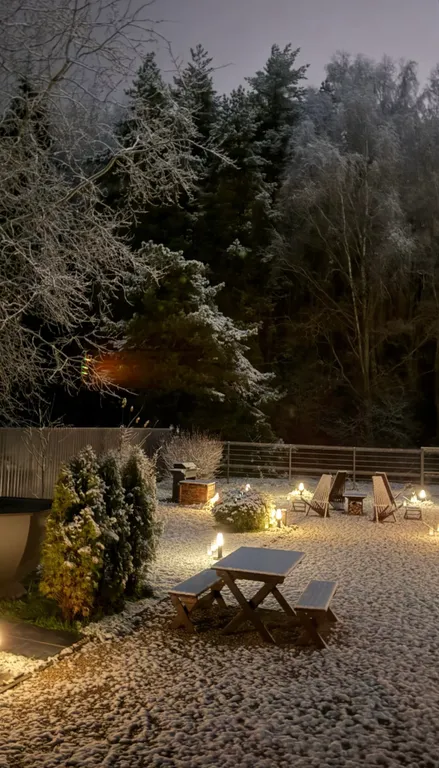 Дом у леса с банным чаном и панорамными окнами