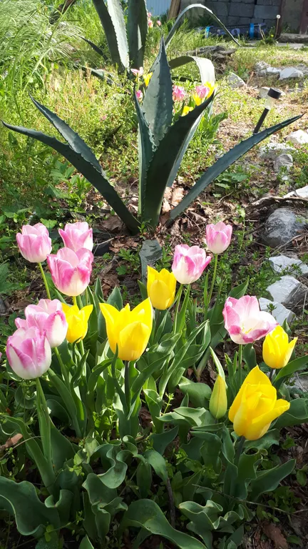 Коттедж Коттедж Уютный 2х этажный классический сруб с 2 спальнями и гостиной — Сириус