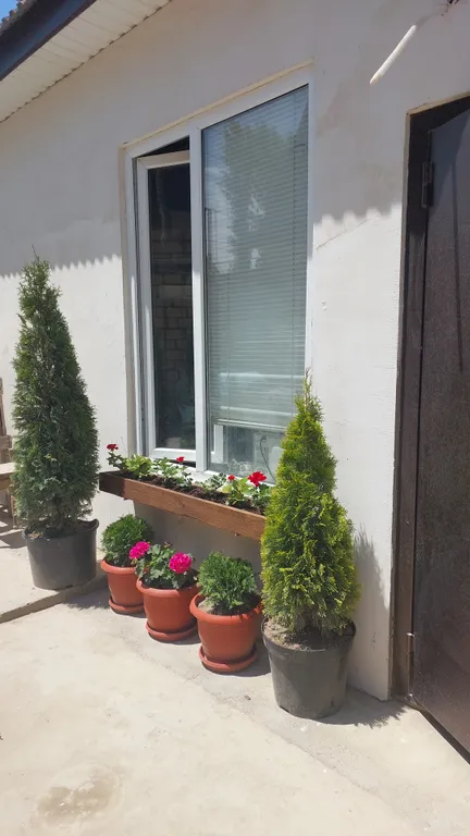 Коттедж на берегу моря